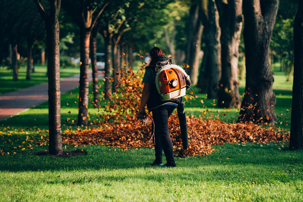 Blast Away Leaves with Ease: Top 5 High-Capacity Leaf Blowers Reviewed